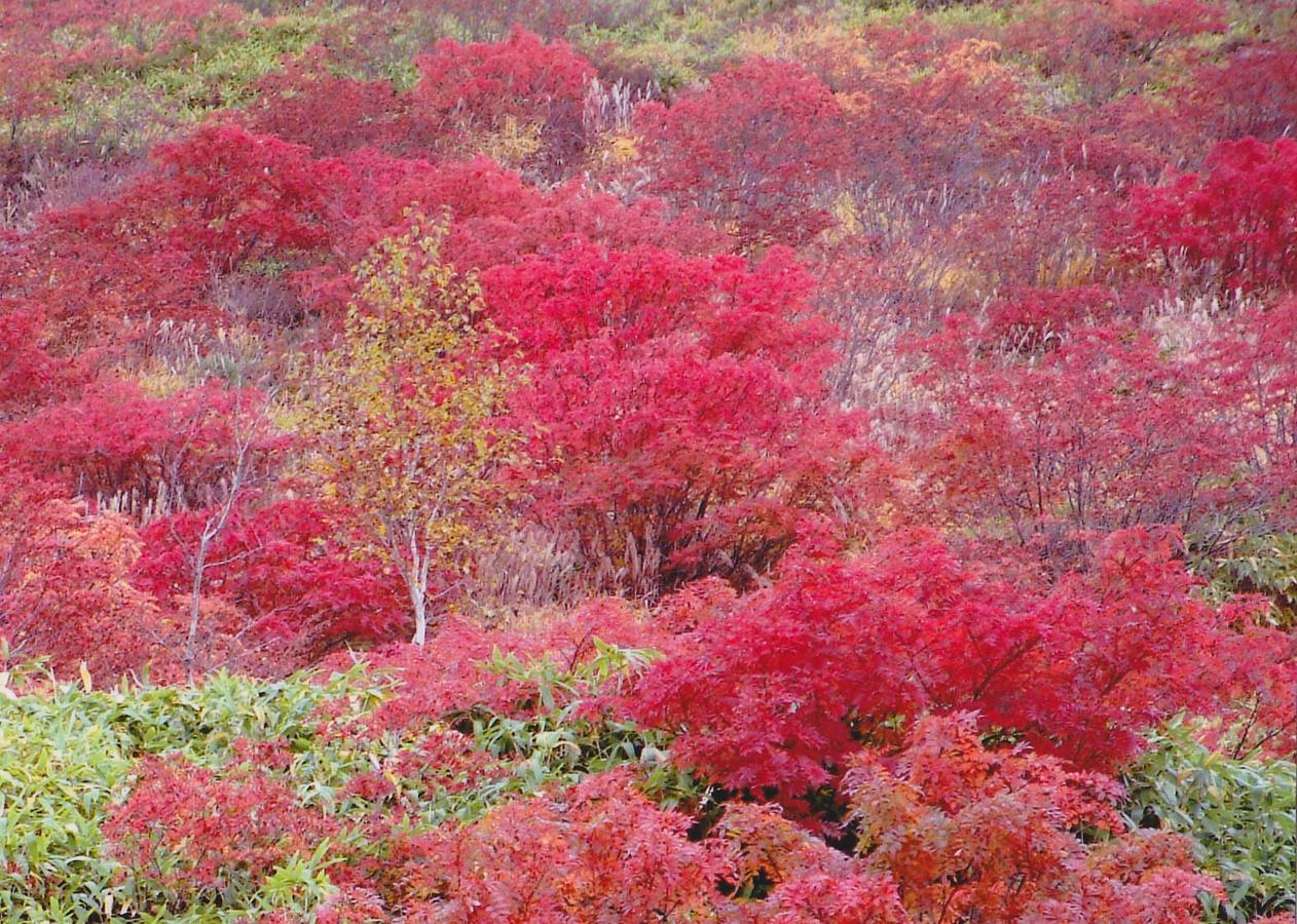 Shiga Kogen Hotel Shiga Sunvalley Yamanouchi  Zewnętrze zdjęcie