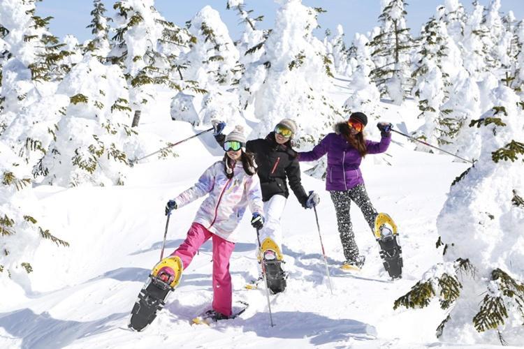 Shiga Kogen Hotel Shiga Sunvalley Yamanouchi  Zewnętrze zdjęcie