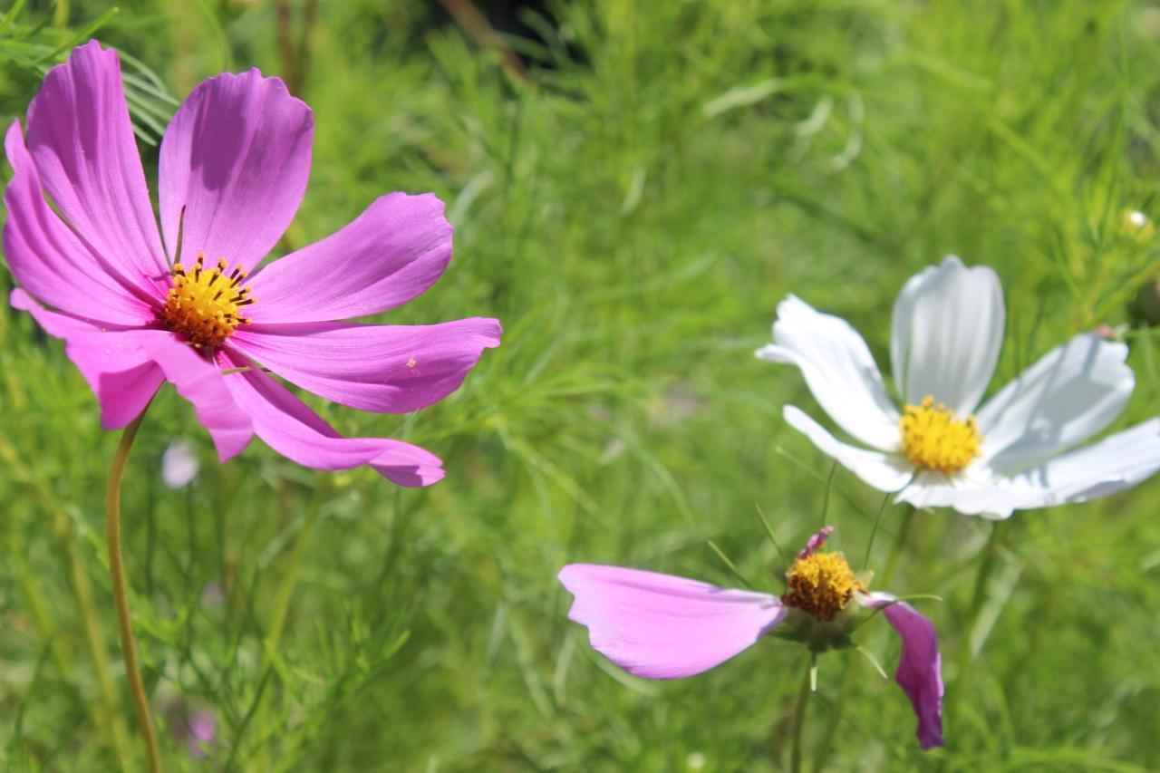 Shiga Kogen Hotel Shiga Sunvalley Yamanouchi  Zewnętrze zdjęcie